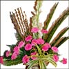 4 Some one Special - Click here to View more details about this Product